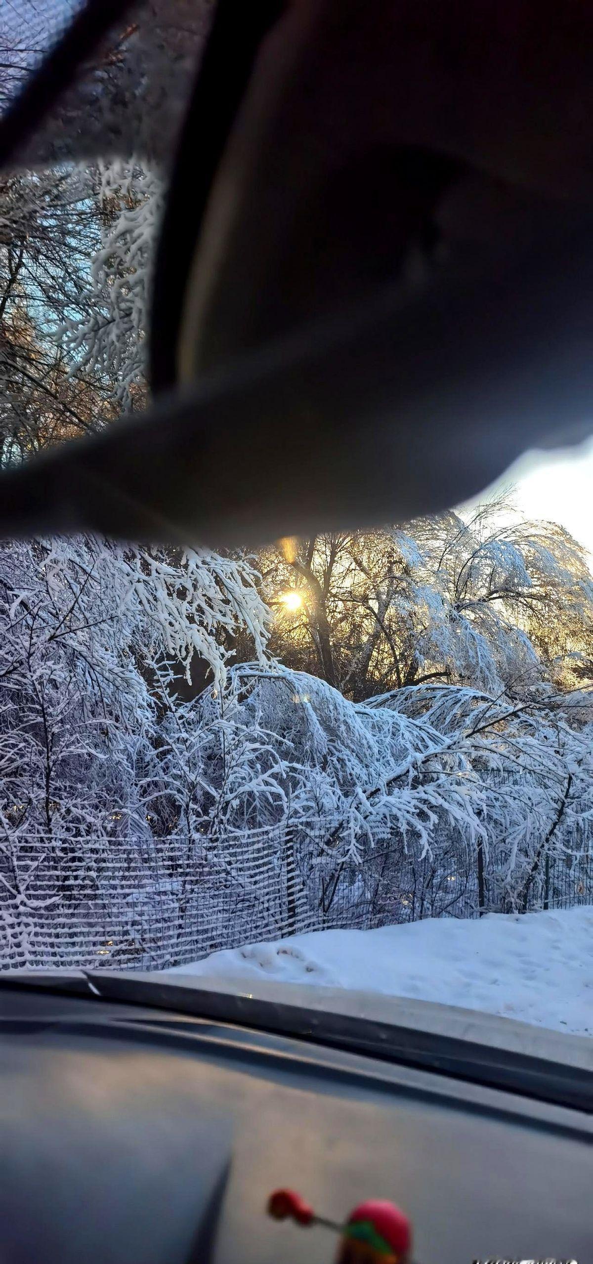 灵活就业的朋友们，你们社保扣了吗？
今天都25号了，我的怎么还没动静？
是不是真