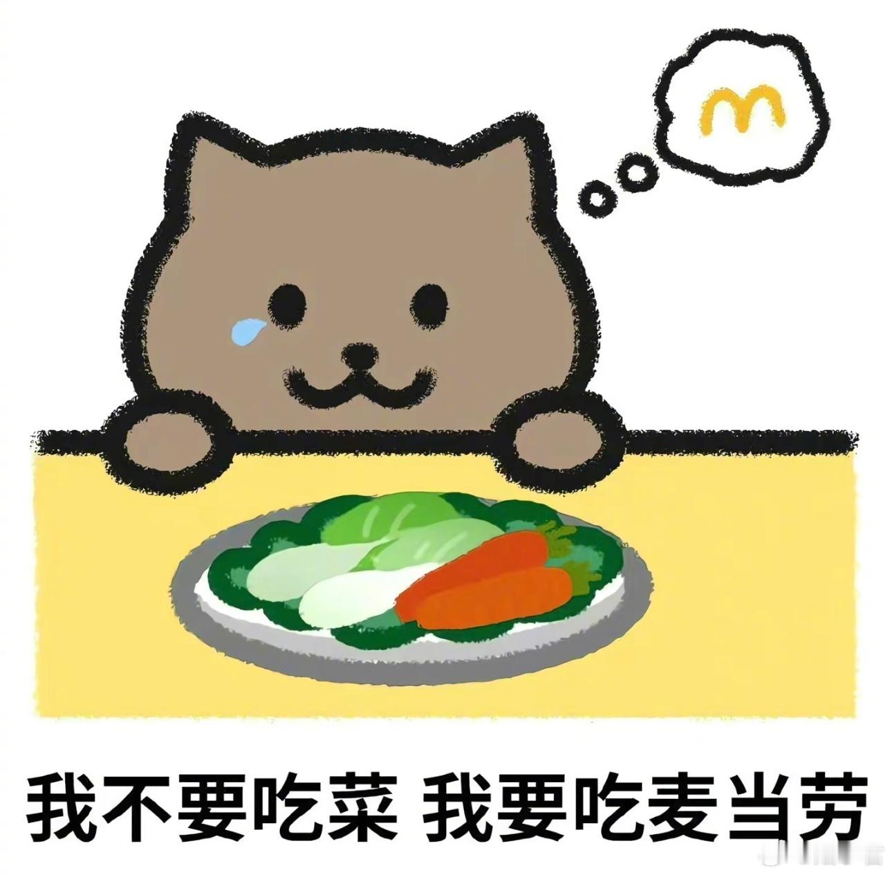 因为「21岁重庆男子跳江」事件男主胖猫的头像，上面写着“我不想吃菜，想吃麦当劳”