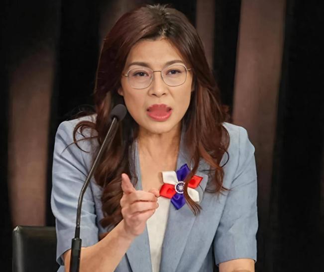 岛内三十多个团体
抗议高市早苗！
为啥郑丽文哑火了？


高市早苗的言论引发抗议