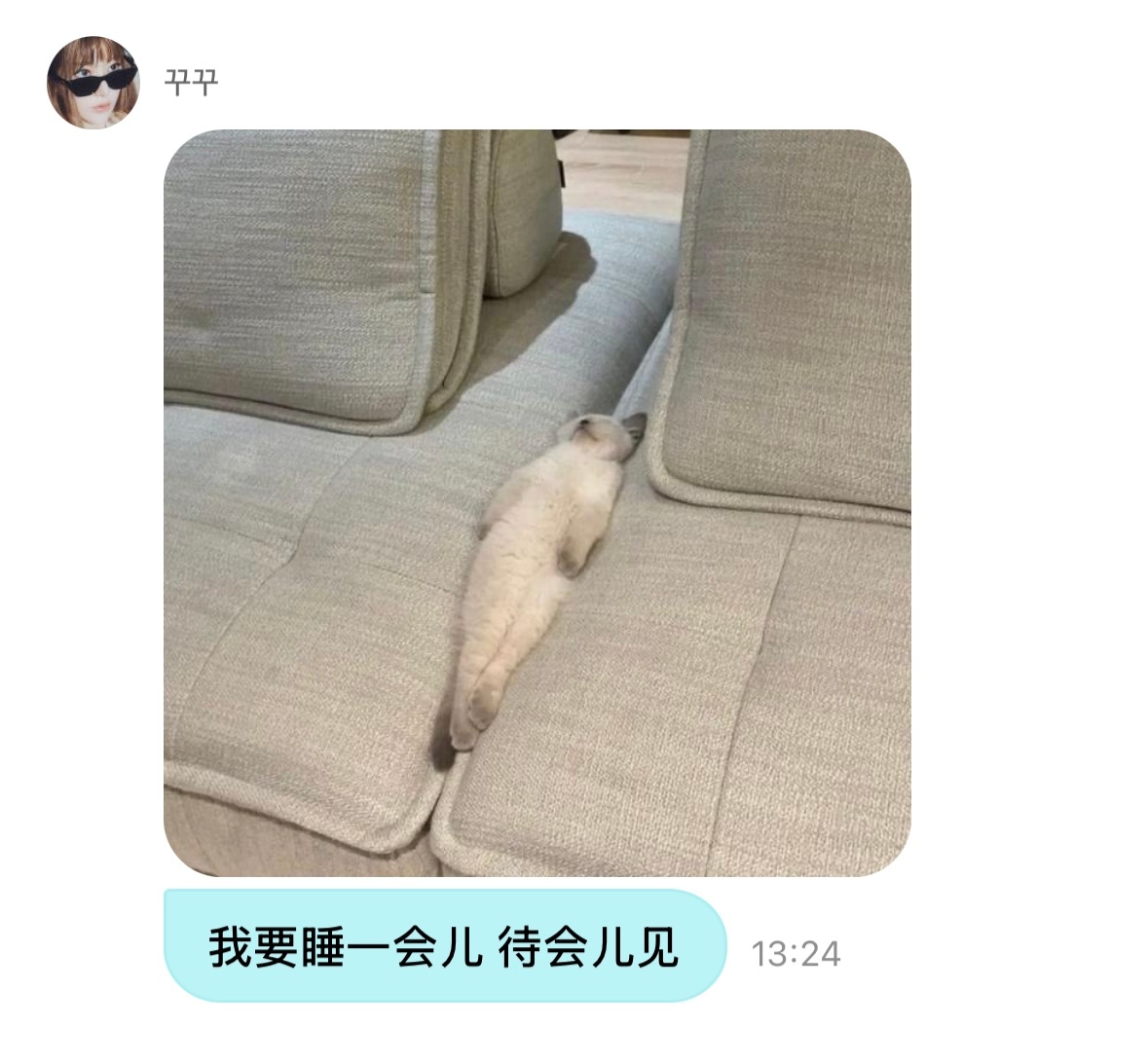 猫猫睡吧 