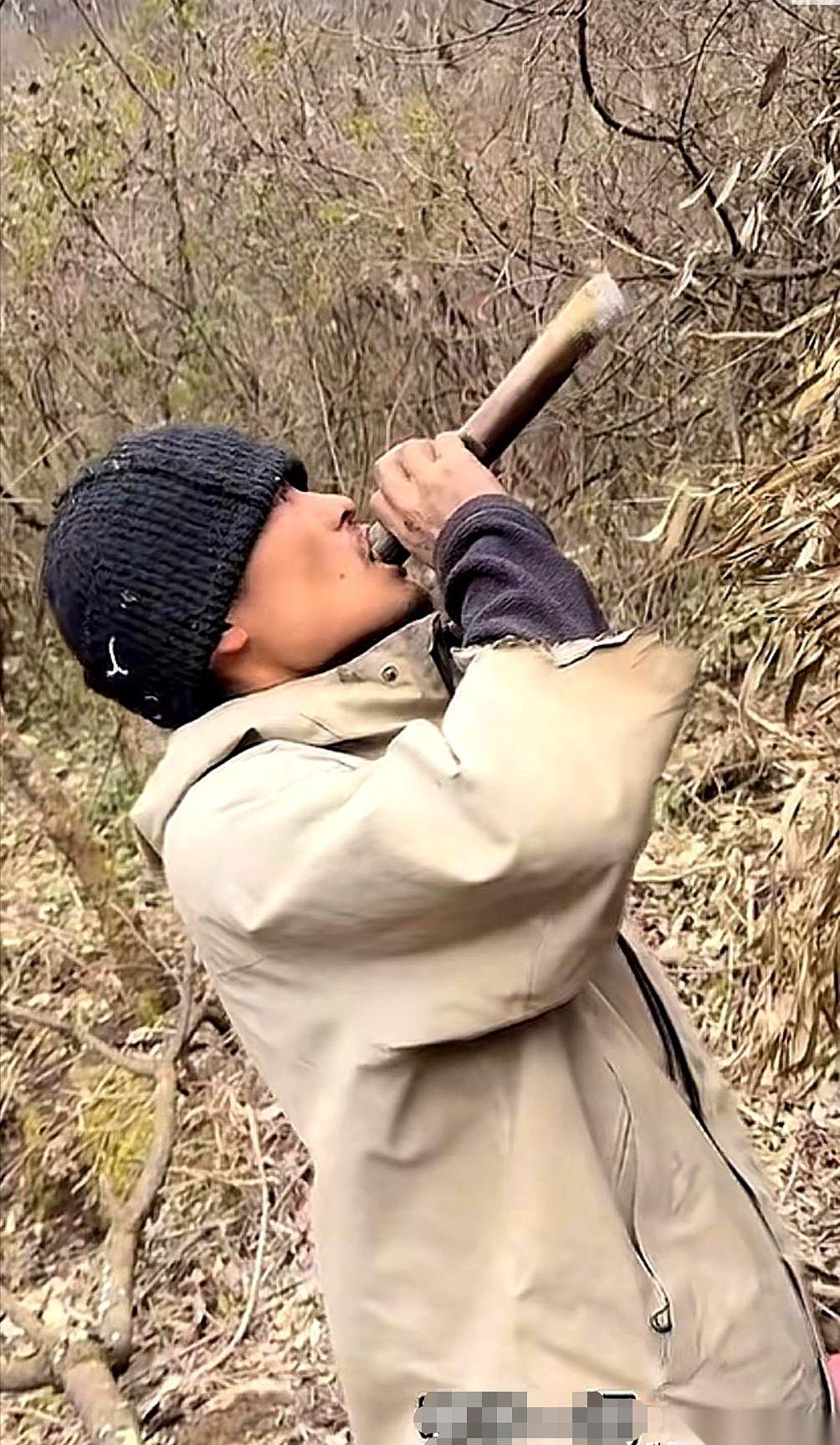 刀疤哥退赛，根本不是什么肠胃不适。
说白了，是中毒了。
就因为在山上误食了一颗桐