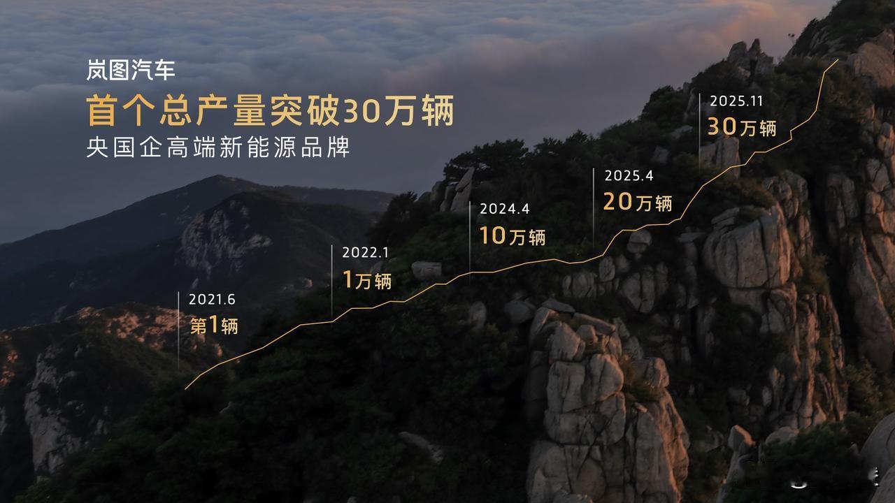 每一款都是爆款
每款旗舰都是标杆
岚图汽车越走越稳
岚图梦想家山河
华系顶流四座