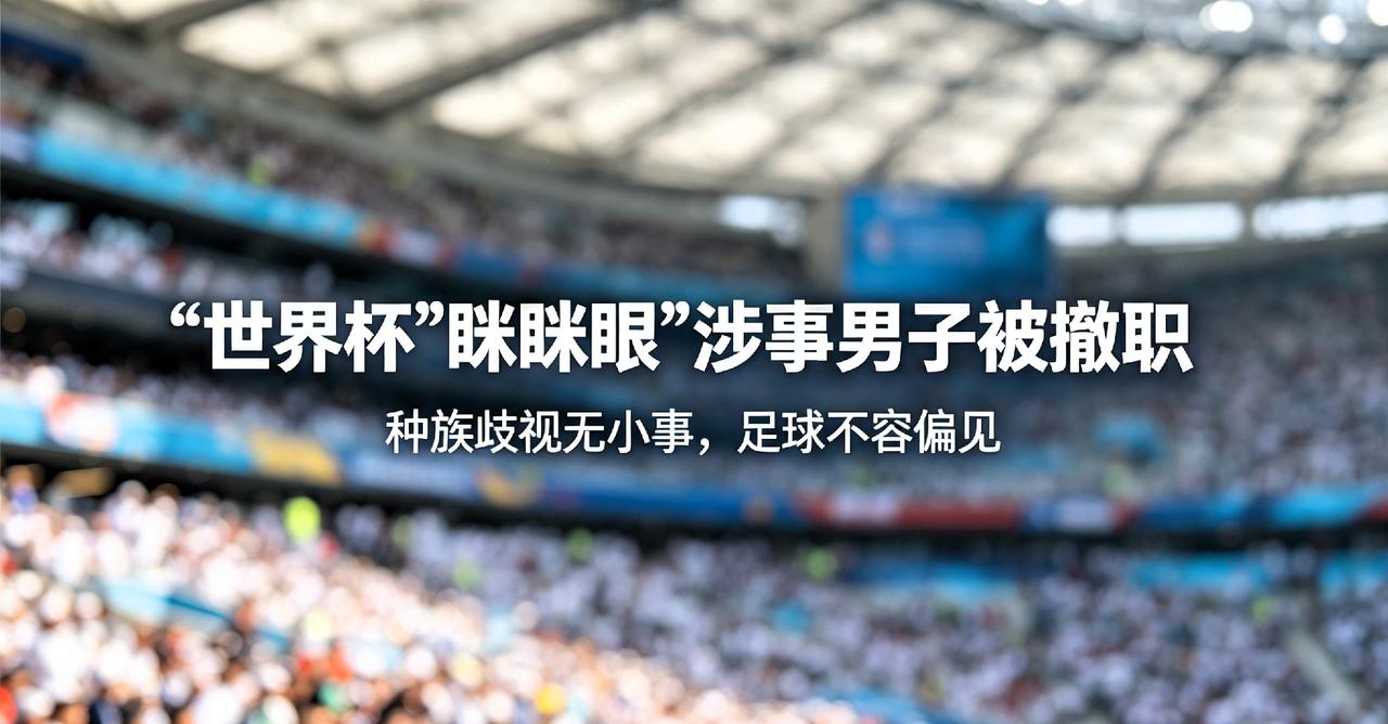 世界杯看台种族歧视男子被撤职，这不是小题大做，是足球该有的底线
 
2026美加