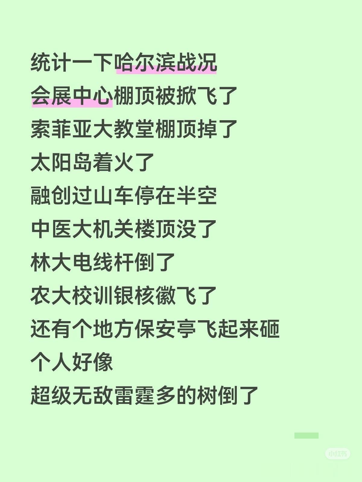 昨天哈尔滨的妖风啊啊啊啊