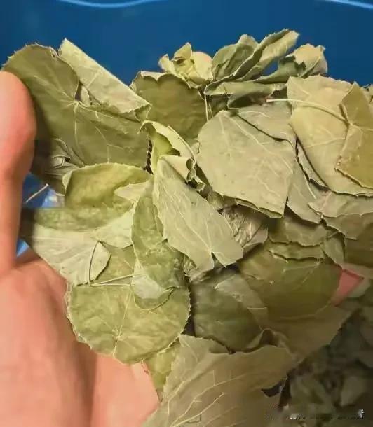 阳痿早泄打通这3个地方，硬度自己就回来了！宗筋更强劲
大家好，我是陈大夫！
阳痿