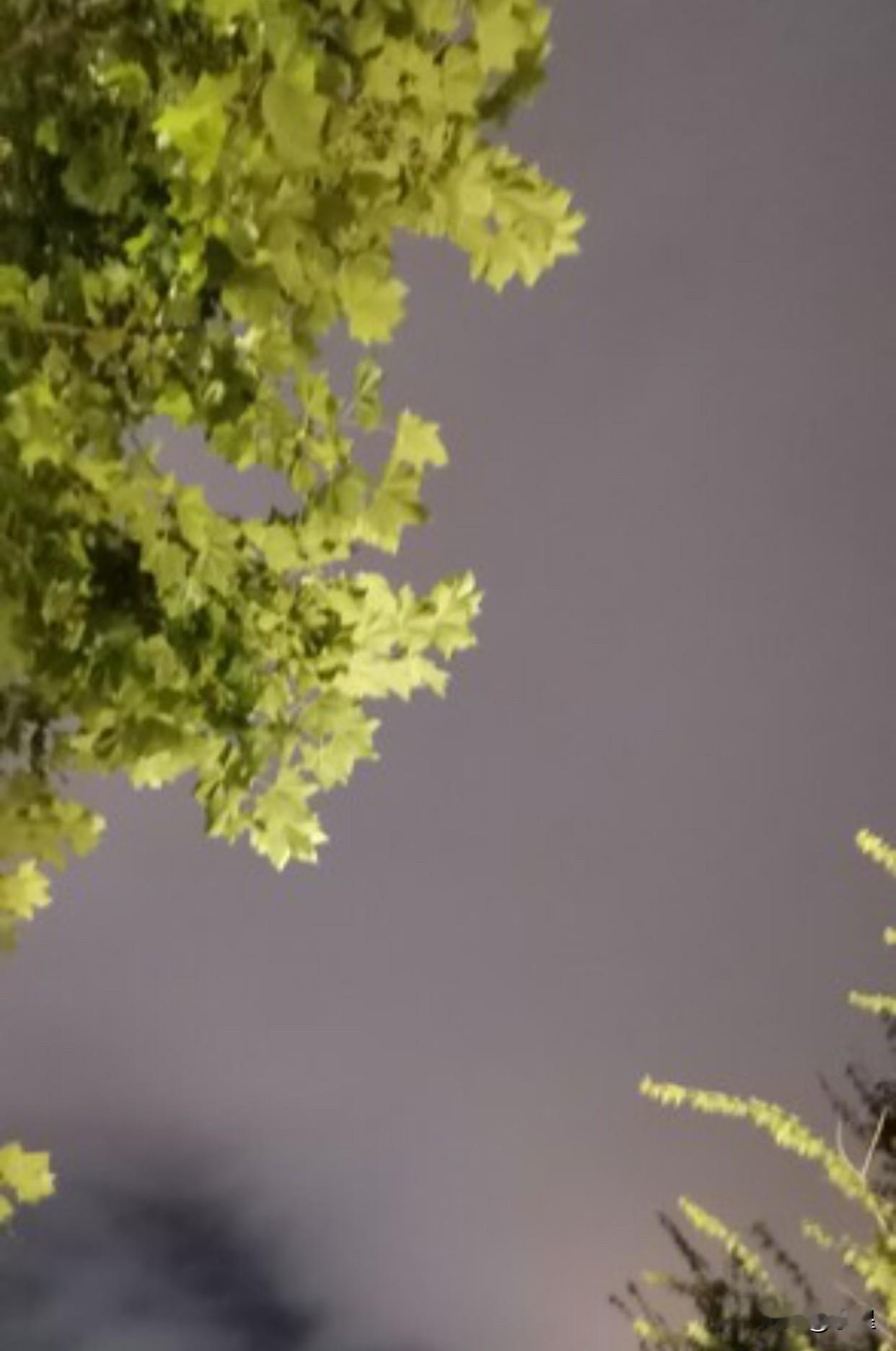 最近北京的天气
有种“打一巴掌给颗甜枣”的感觉
比如今晚就特别凉快
在外面晃的都
