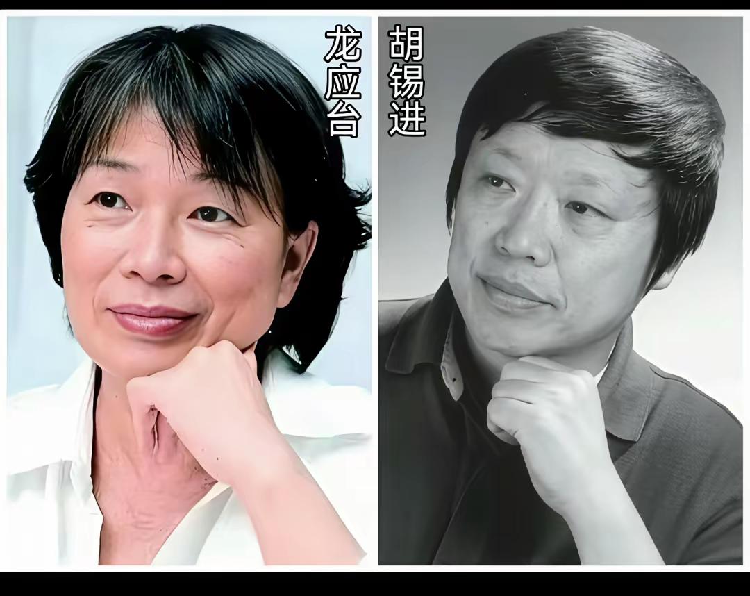 该怎么评价胡锡进作者加速成长计划大事小事胡锡进都要说上一番，他哪有这么全才，所以