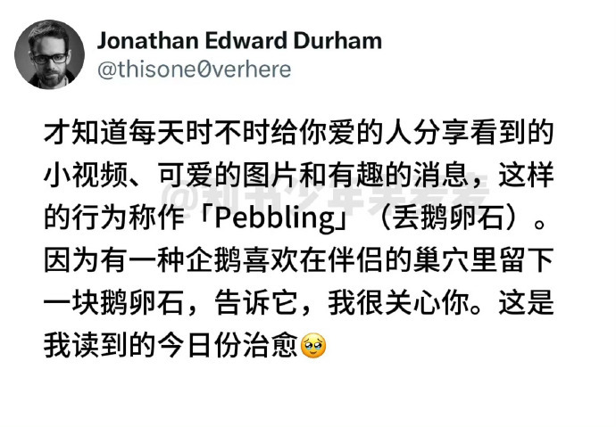 爱虽然可能会被辜负，但它总会在一些时刻治愈你、保护你、拯救你。 