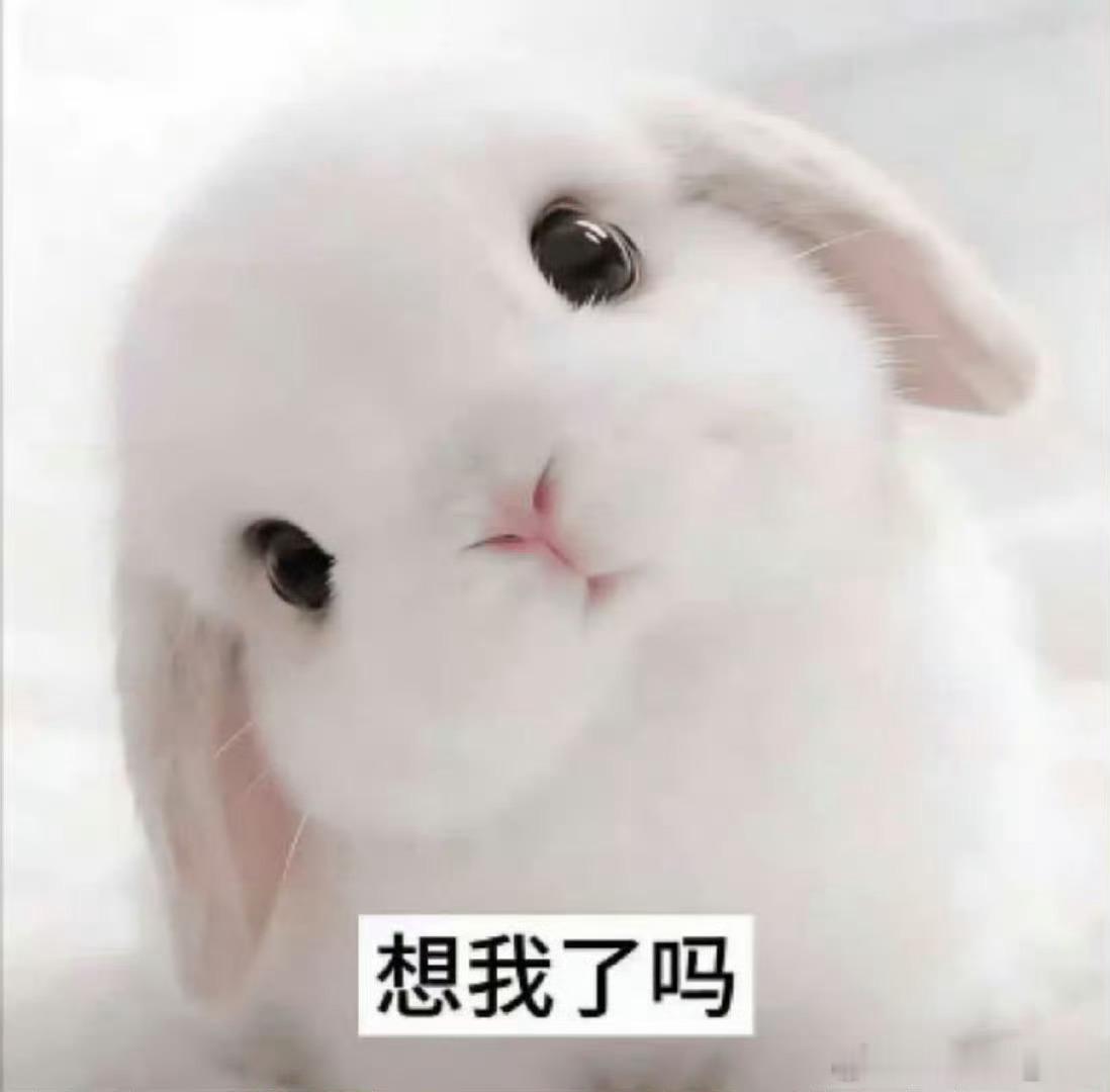 宋威龙此男，一颦一笑要多绝有多绝询问。。商量。。逐渐妥协。。宠粉没得商量。。萌萌