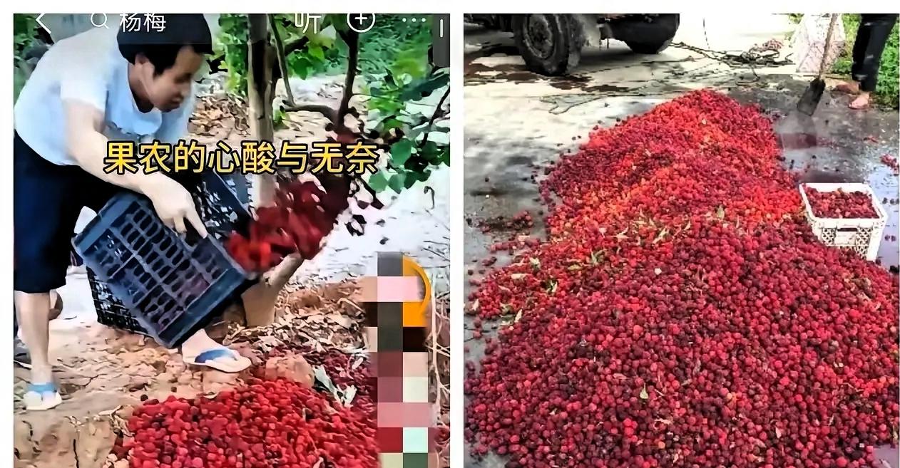 5月17日，福建漳州“药水杨梅”事件持续发酵，市场已出现严重反噬：经销商滞销、外