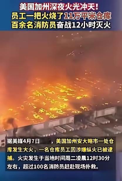 你这辈子可能都没见过这么疯的人，美国加州这两天出的这档子事，真的颠覆所有人的认知