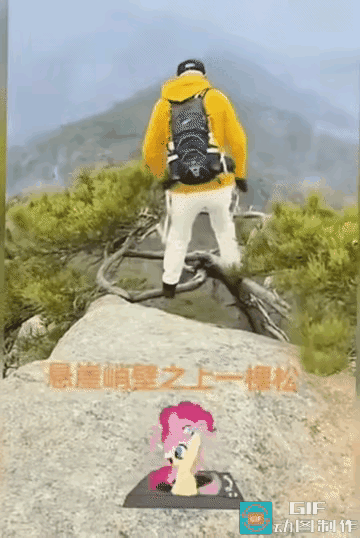 高高的悬崖边上刚好有一棵松树，长的有一点奇形怪状，这个男的看到了这棵松树之后，为