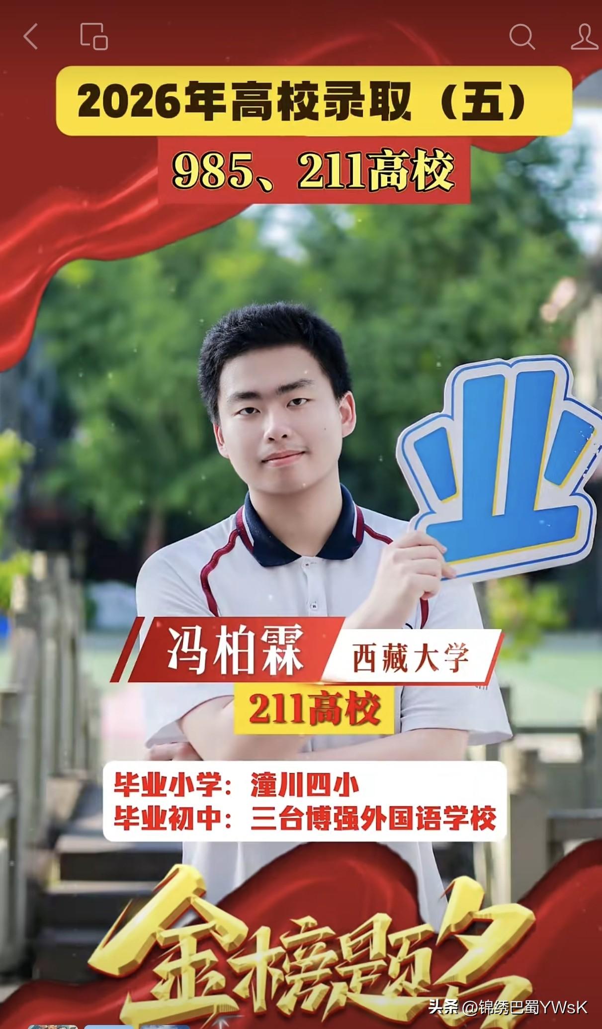 2026台实高考录取（五）C9、985、211大学（第2期）