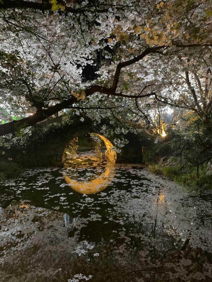 老祖宗的多巴胺审美 