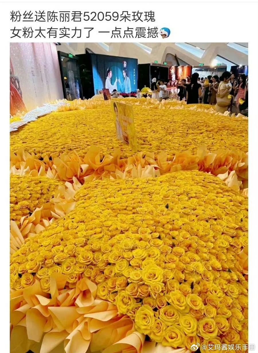 粉丝送陈丽君52059朵黄玫瑰花海，好浪漫[爱慕] ​​​