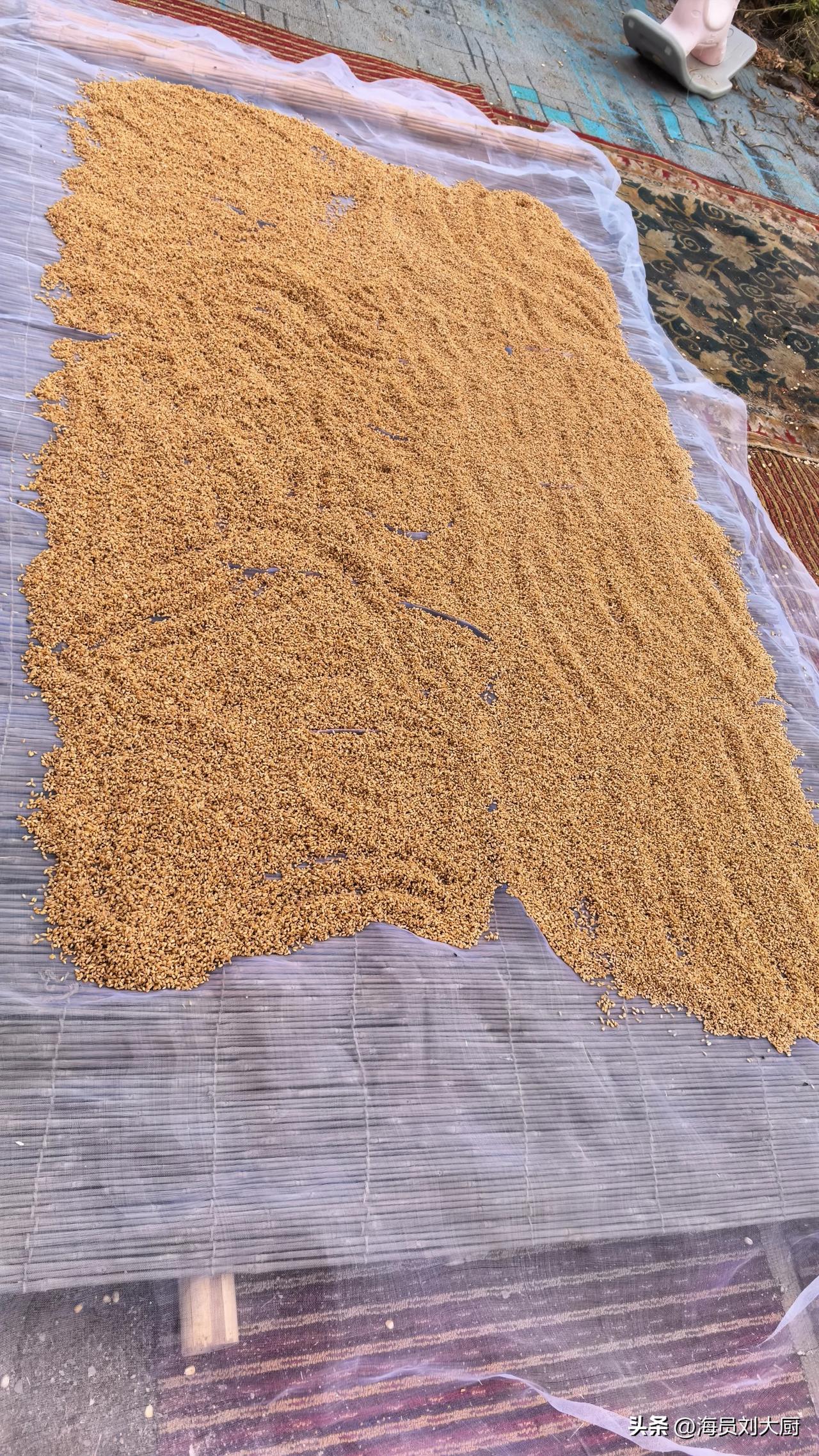 这次下船后，我没有选择打工，而是开始了网络卖农场品，从刚开始的花生，煎饼，到现在