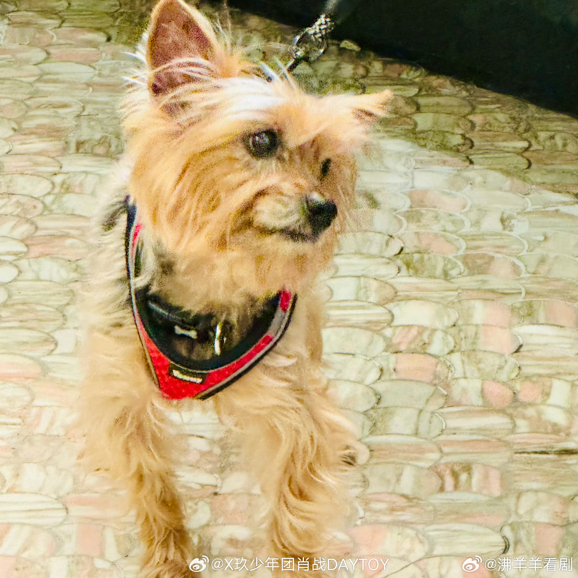 肖战祝周末愉快肖战对镜晒金币 ​​​