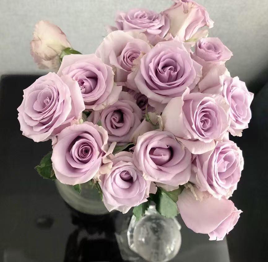 一个人怎么打发时间养花种草，花若盛开，心情豁然开朗，阳光正好！