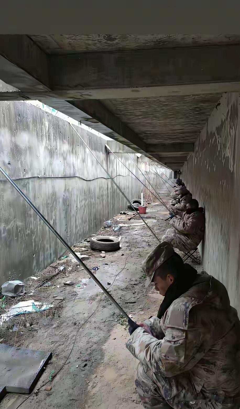 这个地方有鱼吗？