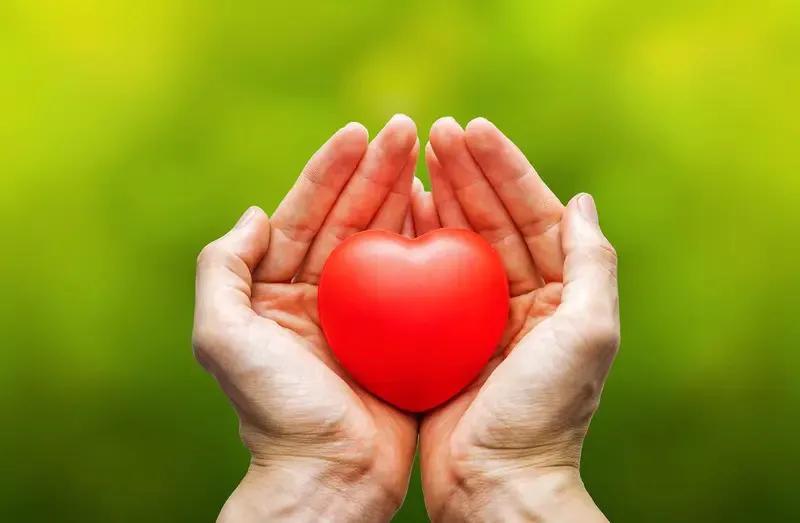 人类格局决定、论理、为健康为生命为基因筑起健康防线、双盲待机、创造新的未来，人类