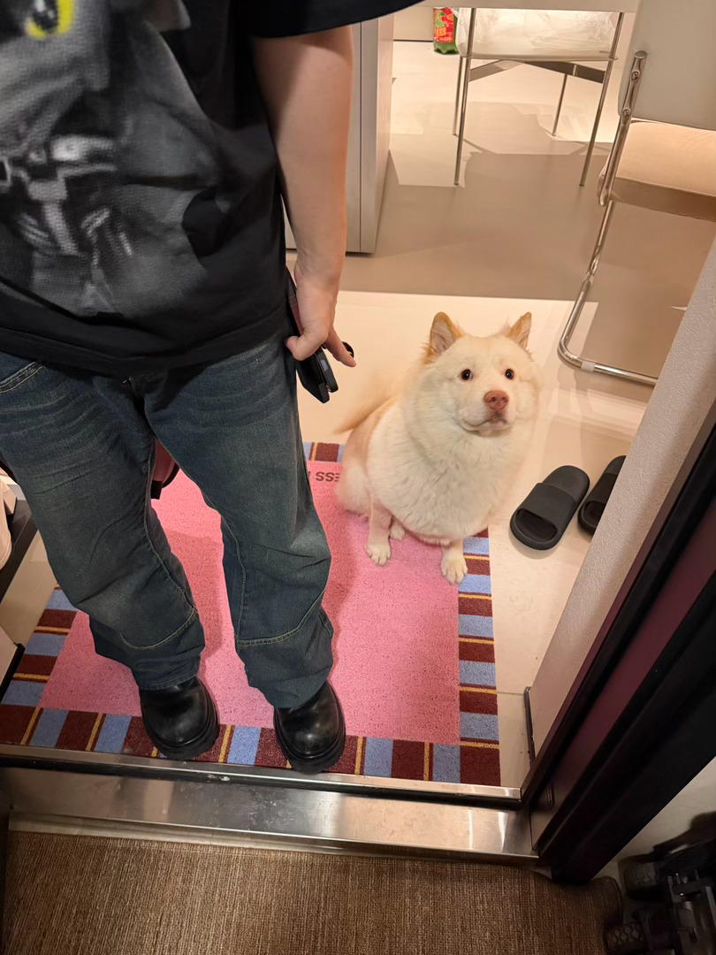 看这个闷子 