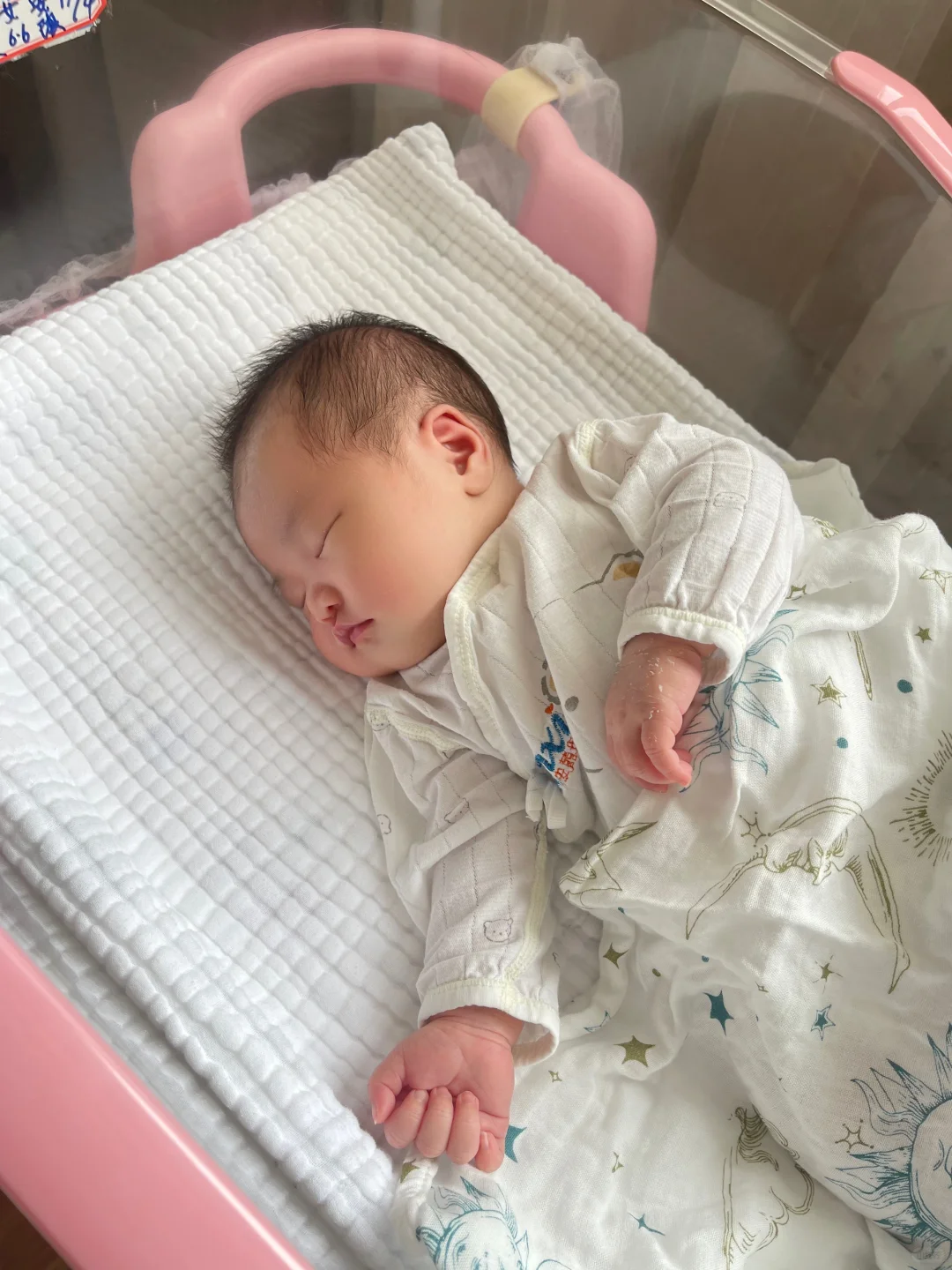 刷到说明你也会拥有健康足月的🐉宝宝