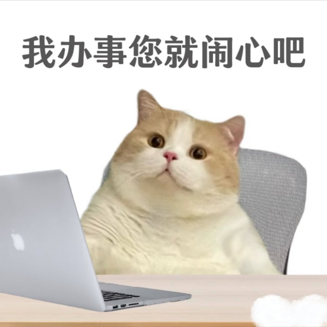新捡来的小猫还没起名，我说那就跟我姓吧 