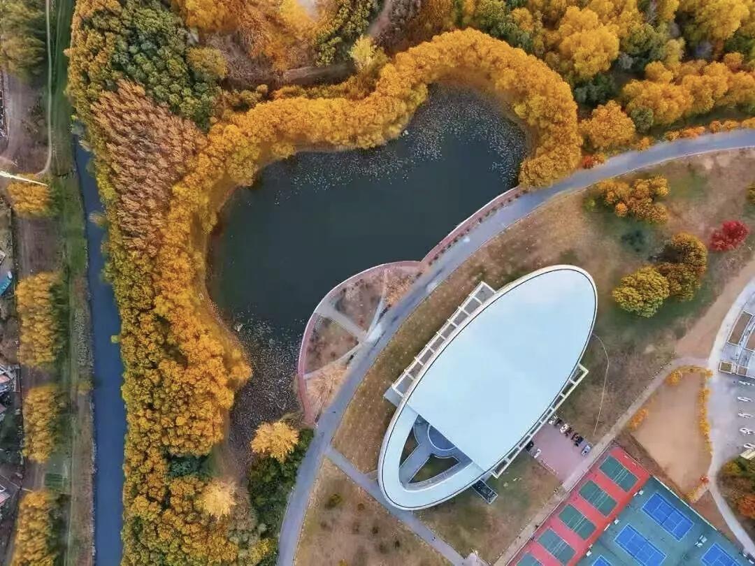 【初来人间不知苦，潦草半生一身无；转身回望来时路，才知生时为何哭】
      