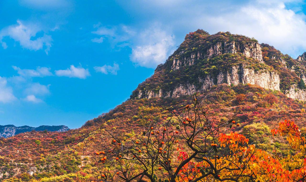 “柿柿如意”...
太行山

自：中国国家地理