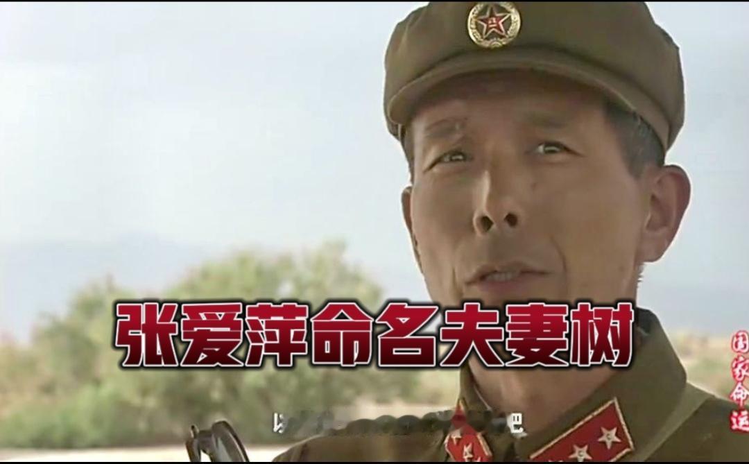 戈壁藏动人佳话！科研夫妻隐姓埋名赴核试验基地，张爱萍将军定名夫妻树。罗布泊风沙漫
