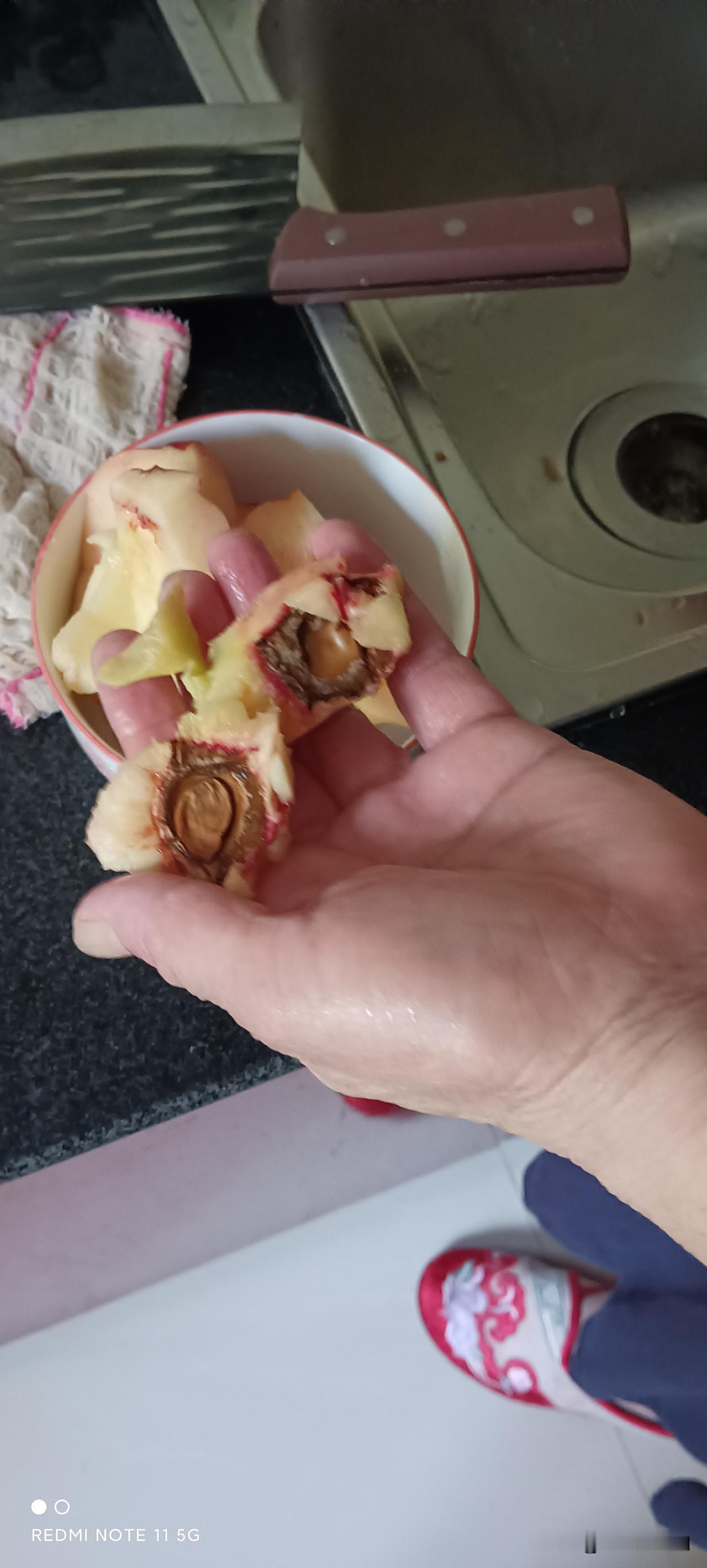 不知道您注意到没有，现在正是桃子大量上市的时候，我记得小时候吃的桃子里面的桃仁都