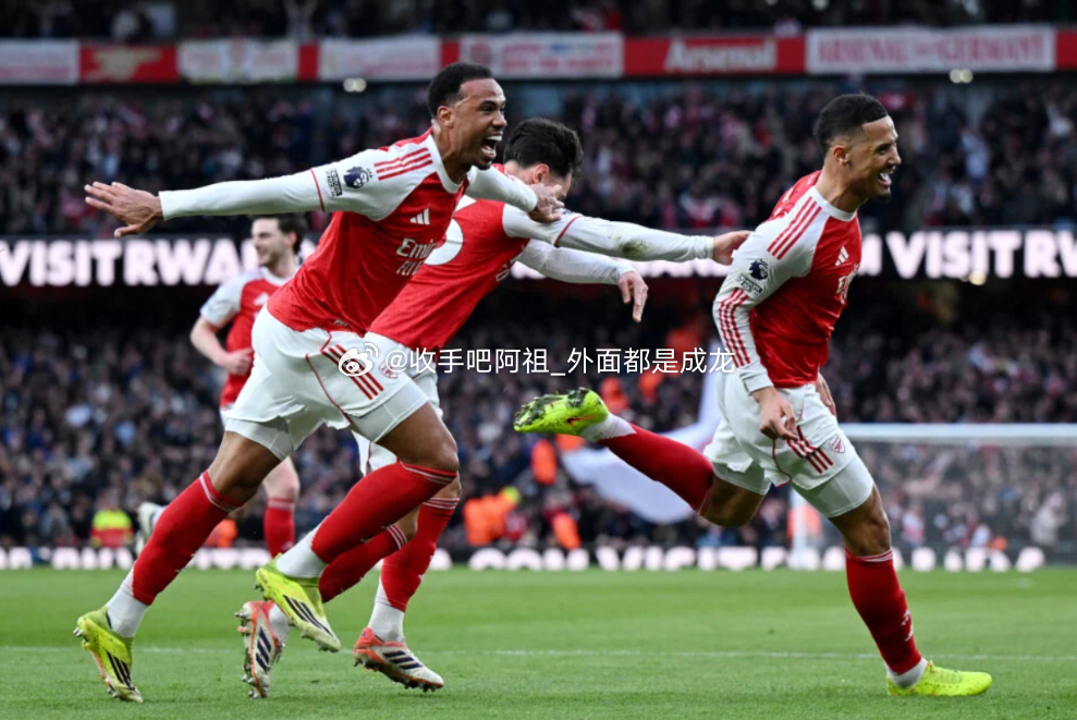 阿森纳在上周末的英超联赛主场2-1战胜切尔西，加布里埃尔表示很高兴助攻萨利巴破门