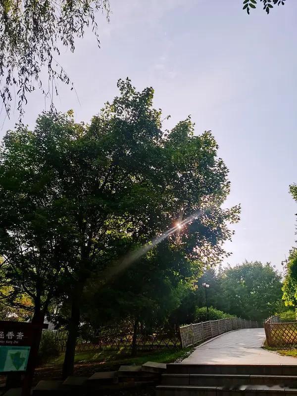 ------
顺便说一下，关于运气其实还有个很有意思的逻辑：为什么有些人看起来总