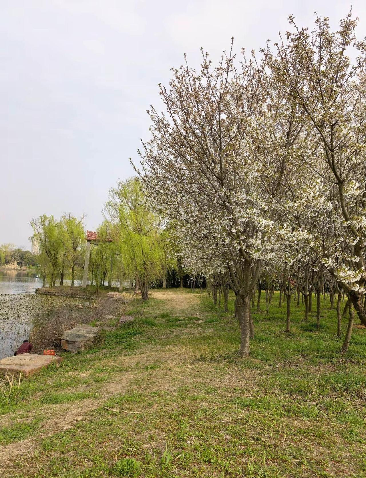 春天的天气。就是好。