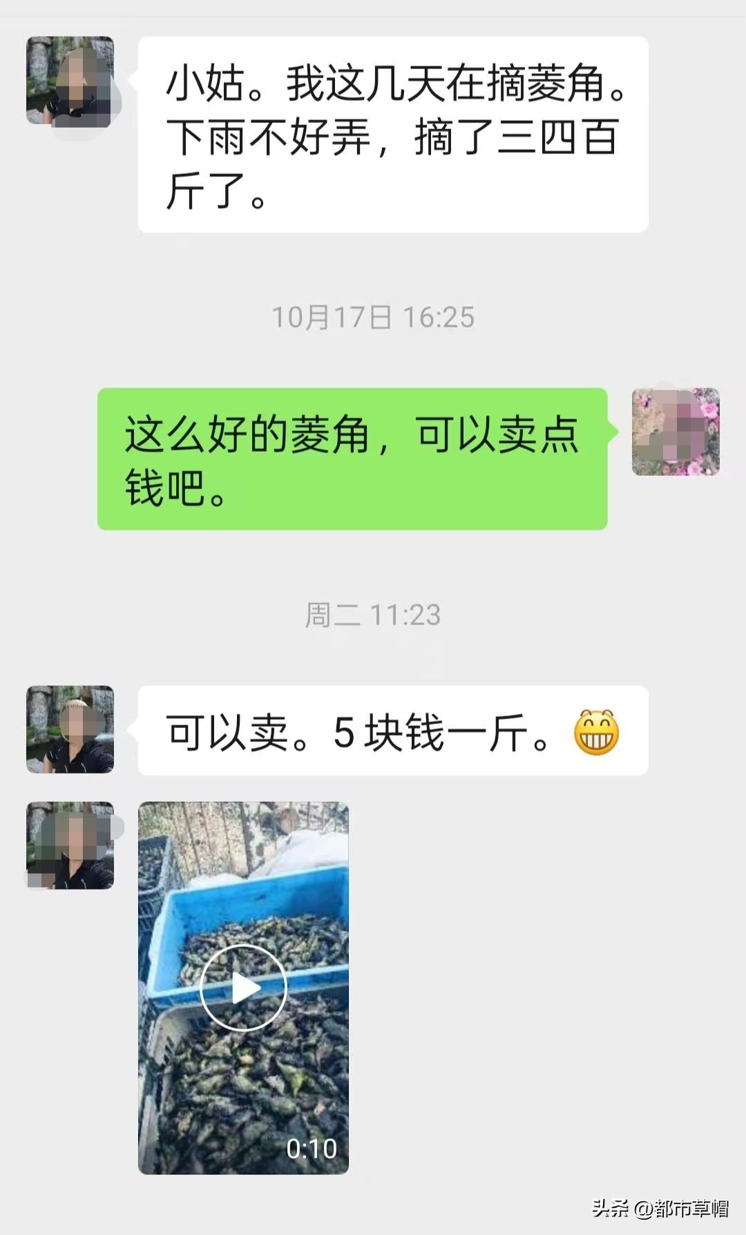 妻子襄阳老家的二角菱，价格居然是我这里的两倍。前不久回襄阳，真的感受到老家的物价