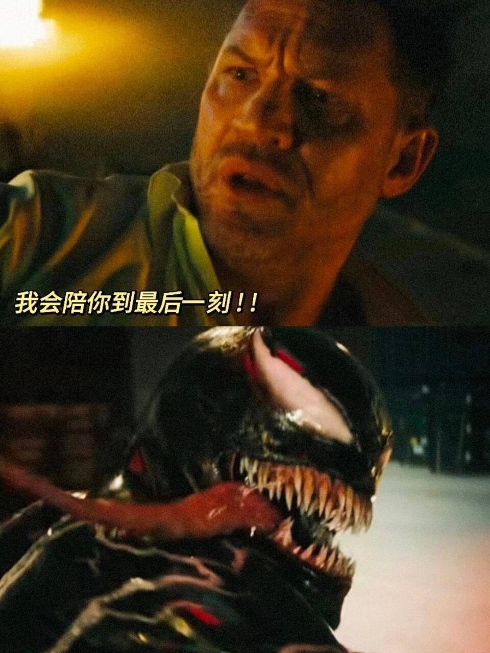 这对欢喜冤家，你磕了吗？谁能想到毒液竟然是先婚后爱的故事前2部里，这两个人的结合