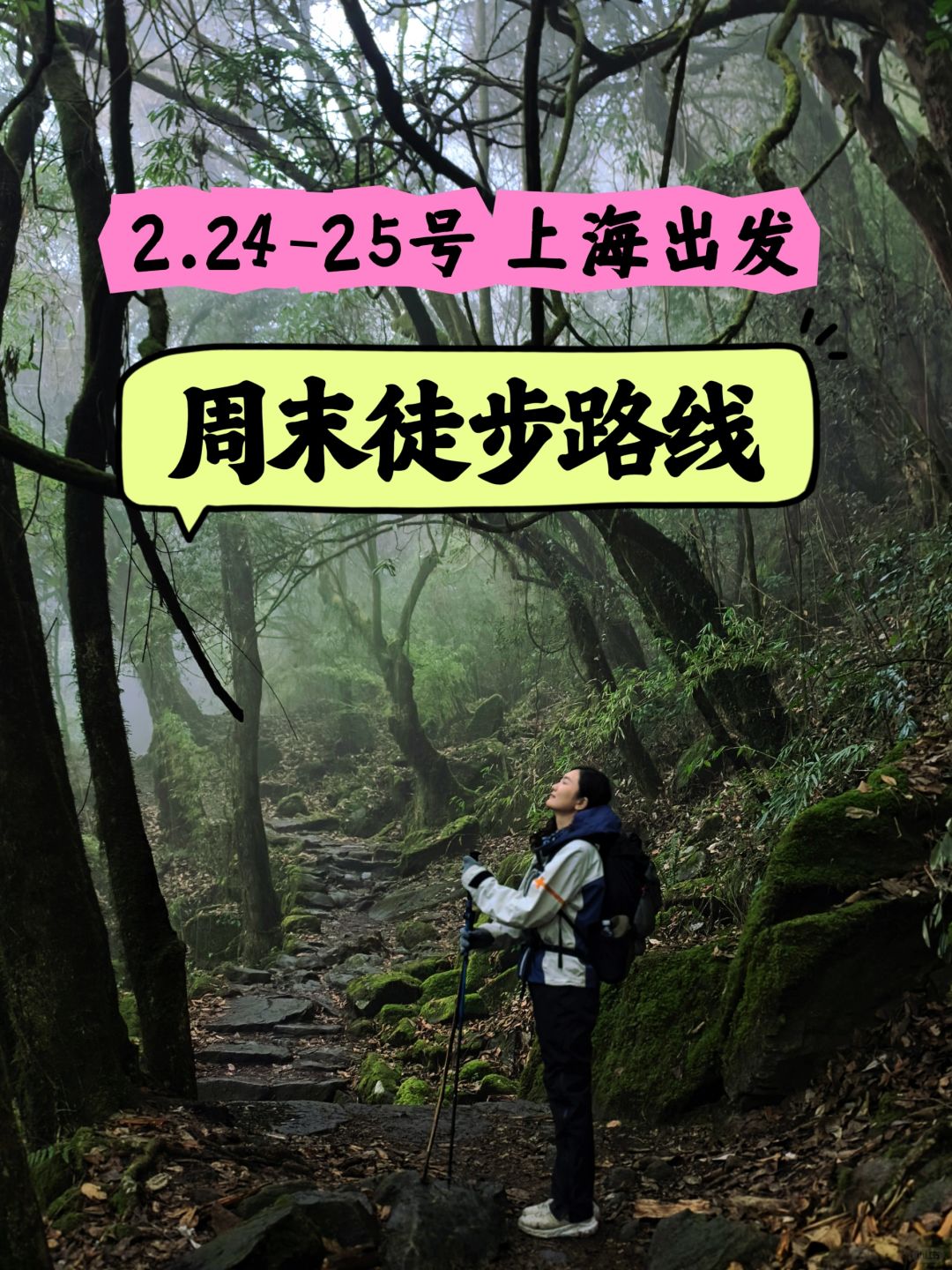 上海周边徒步路线推荐 2月第4️⃣周