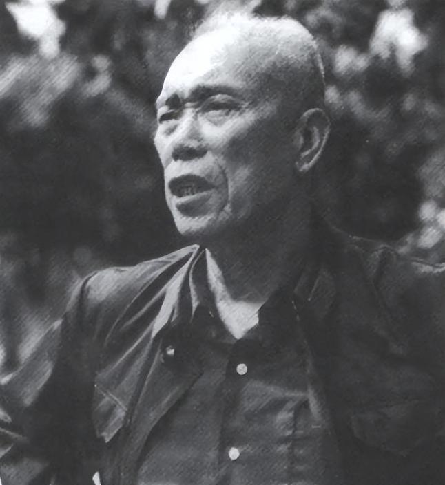 1971年处境恶劣的梁兴初来北京汇报工作，听到毛主席一句话后，梁兴初不明白其中意