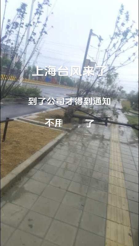 上海台风来了#台风来了 #生活随拍 #狂风暴雨来袭 #随手一拍都是美景 #没有什