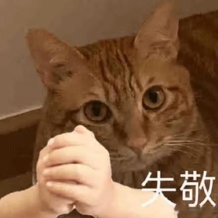 好家伙官官这个8️⃣月完全飞起来的样子，好多活动啊我都怕漏信息了。 