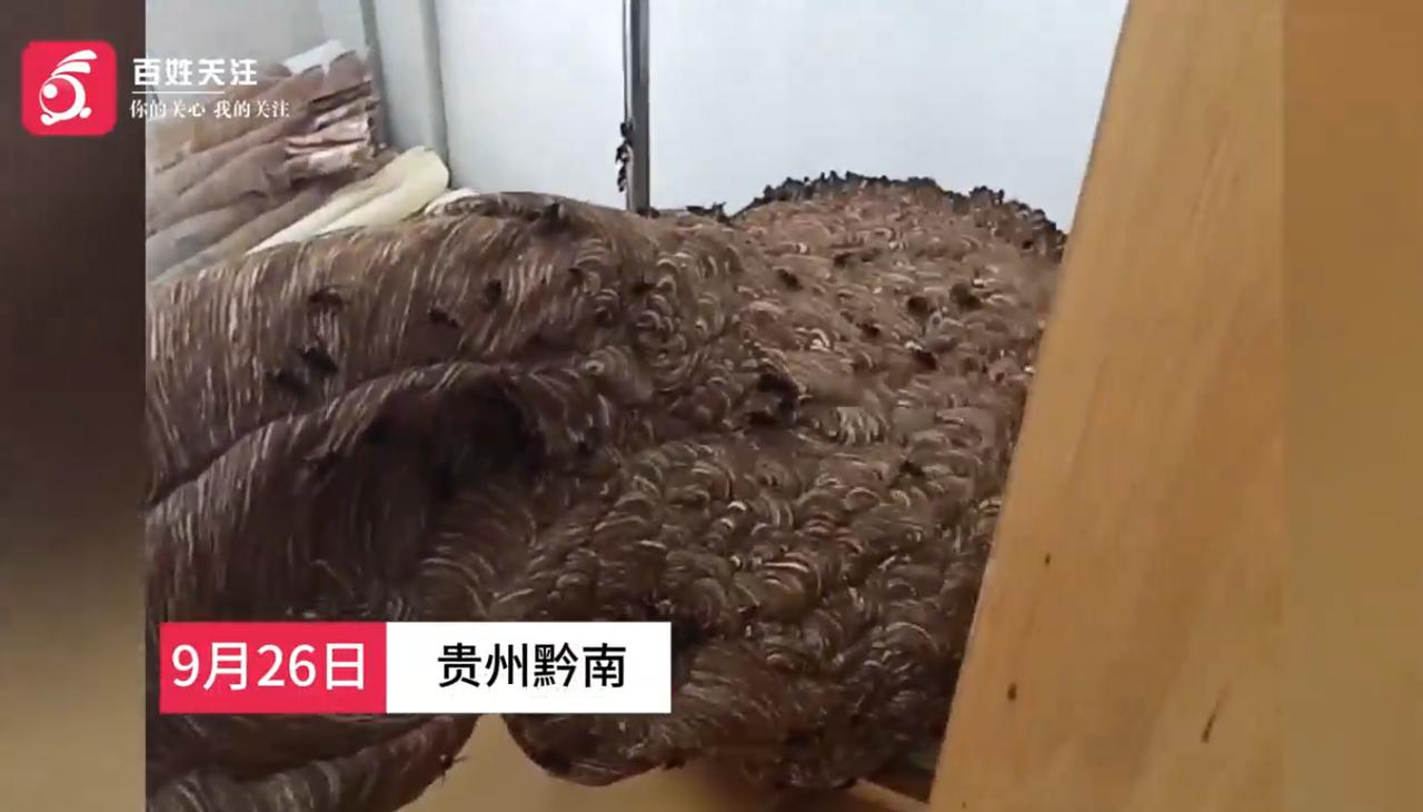 9 月 28 日百姓关注报道，贵州黔南州瓮安县一处小区六楼空置房阳台，出现一个体
