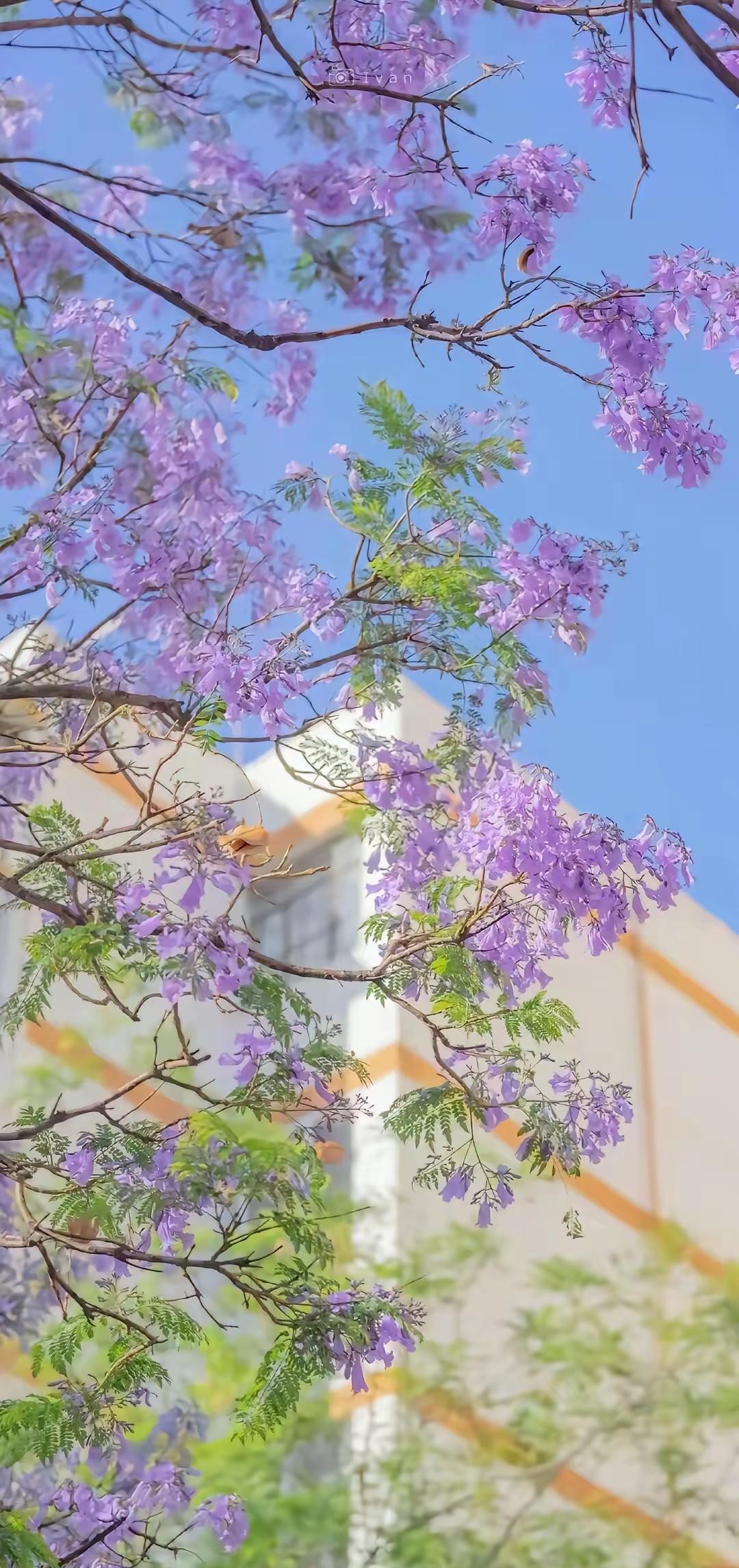 昨晚饭局上，那个结婚十年还天天跟老婆黏黏糊糊的发小，抿了口冰啤酒慢悠悠聊起这事，