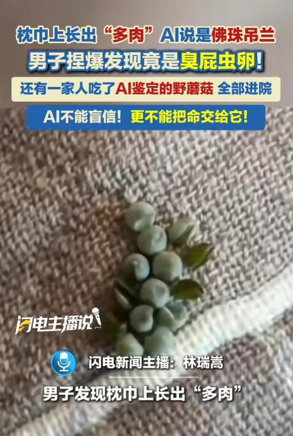 “太坑了吧！”7月1日报道，广东，一男子枕巾长出一串“多肉”，AI告诉他是佛珠吊
