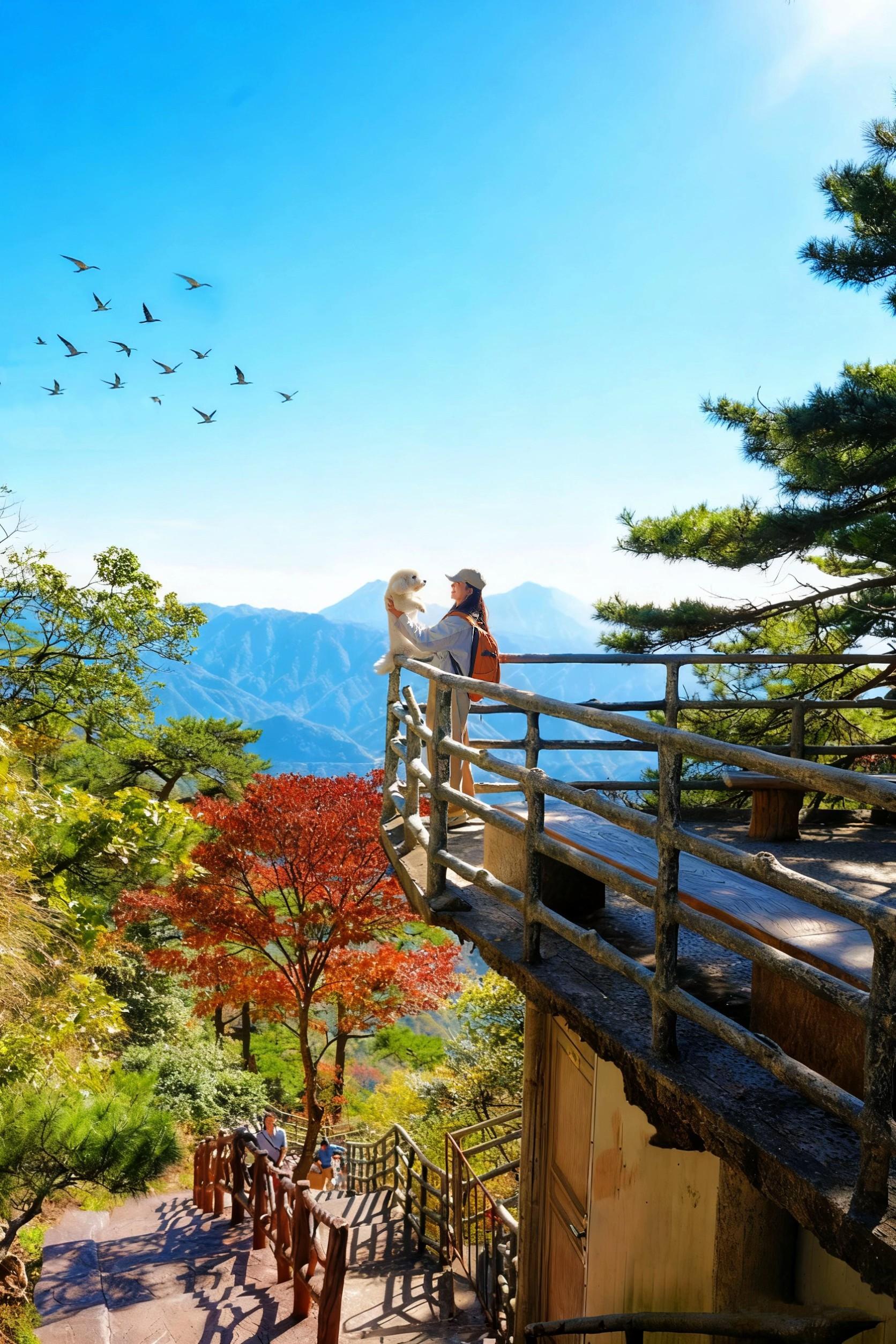 我在武汉周边，走过最舒服的赏秋徒步路线🍂。武汉开车2.5h直达安徽明...