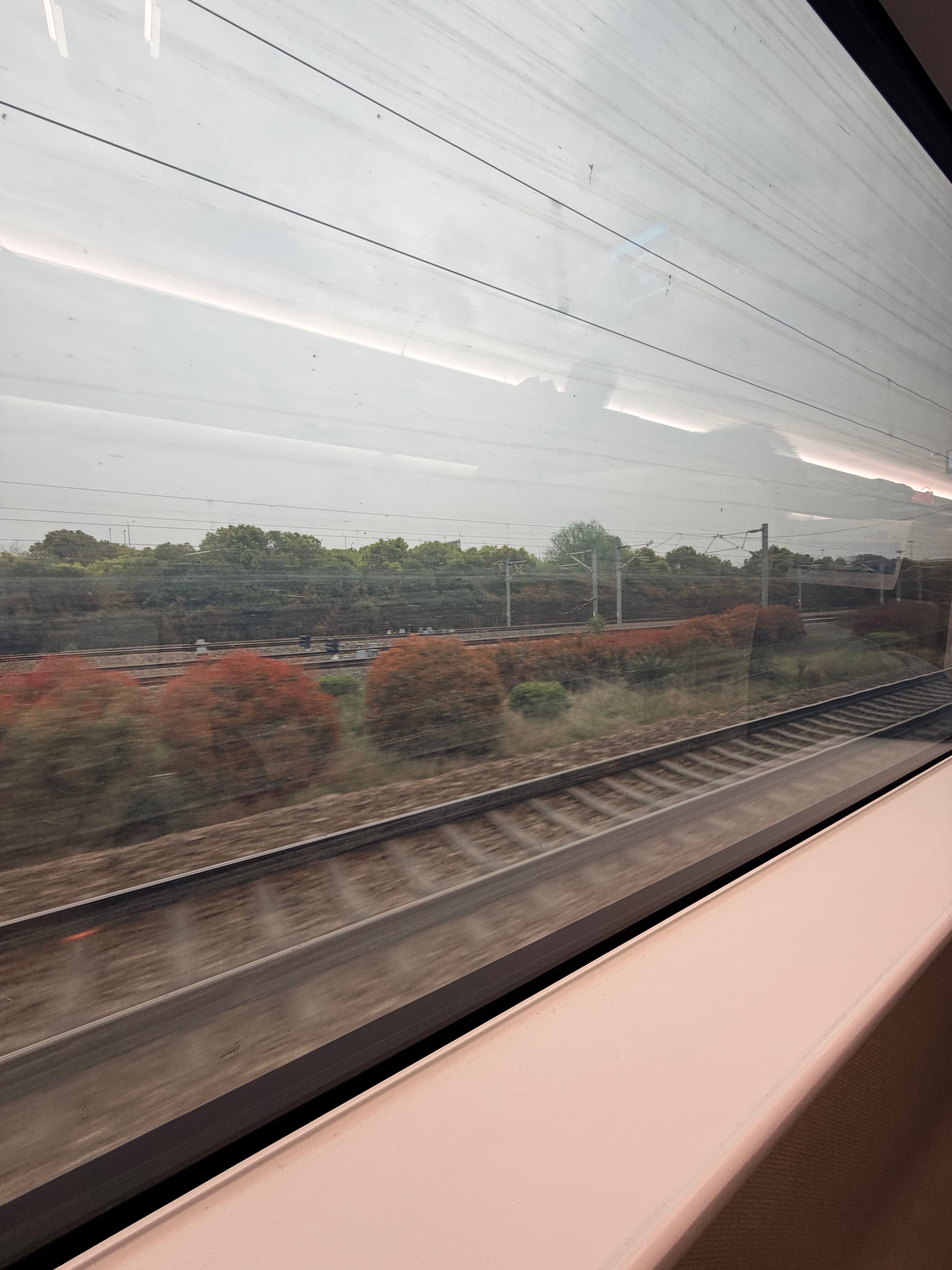 出个短途差，半天来回的那种 上海·上海虹桥站