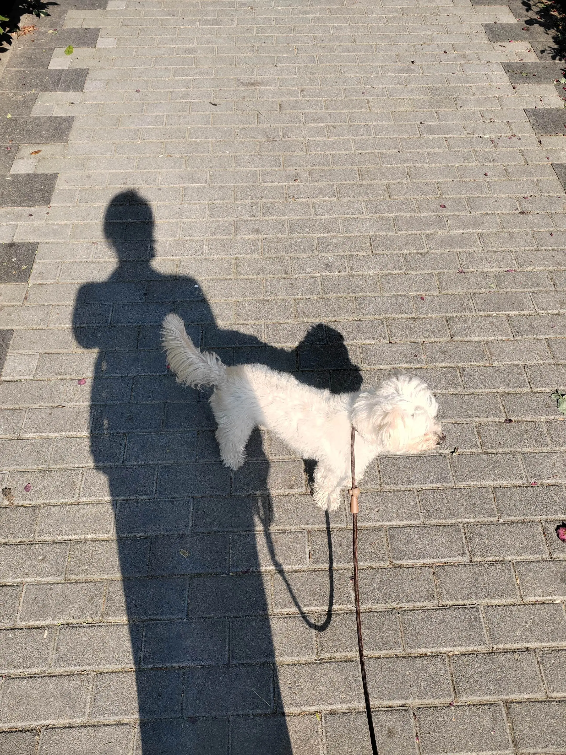 就这么点气血，一点不能内耗 有事不直说，全当听不懂 直说了，不爱听，全当听不见