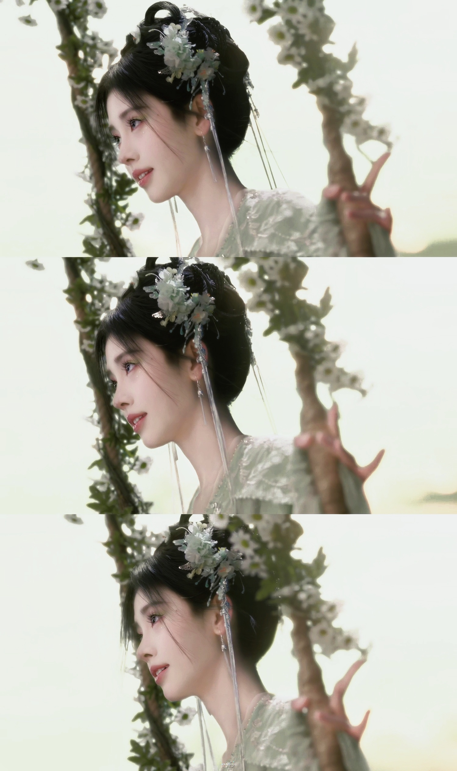 姜黎非×小花仙🍃﻿﻿鞠婧祎万花世界鞠婧祎苏绿夏