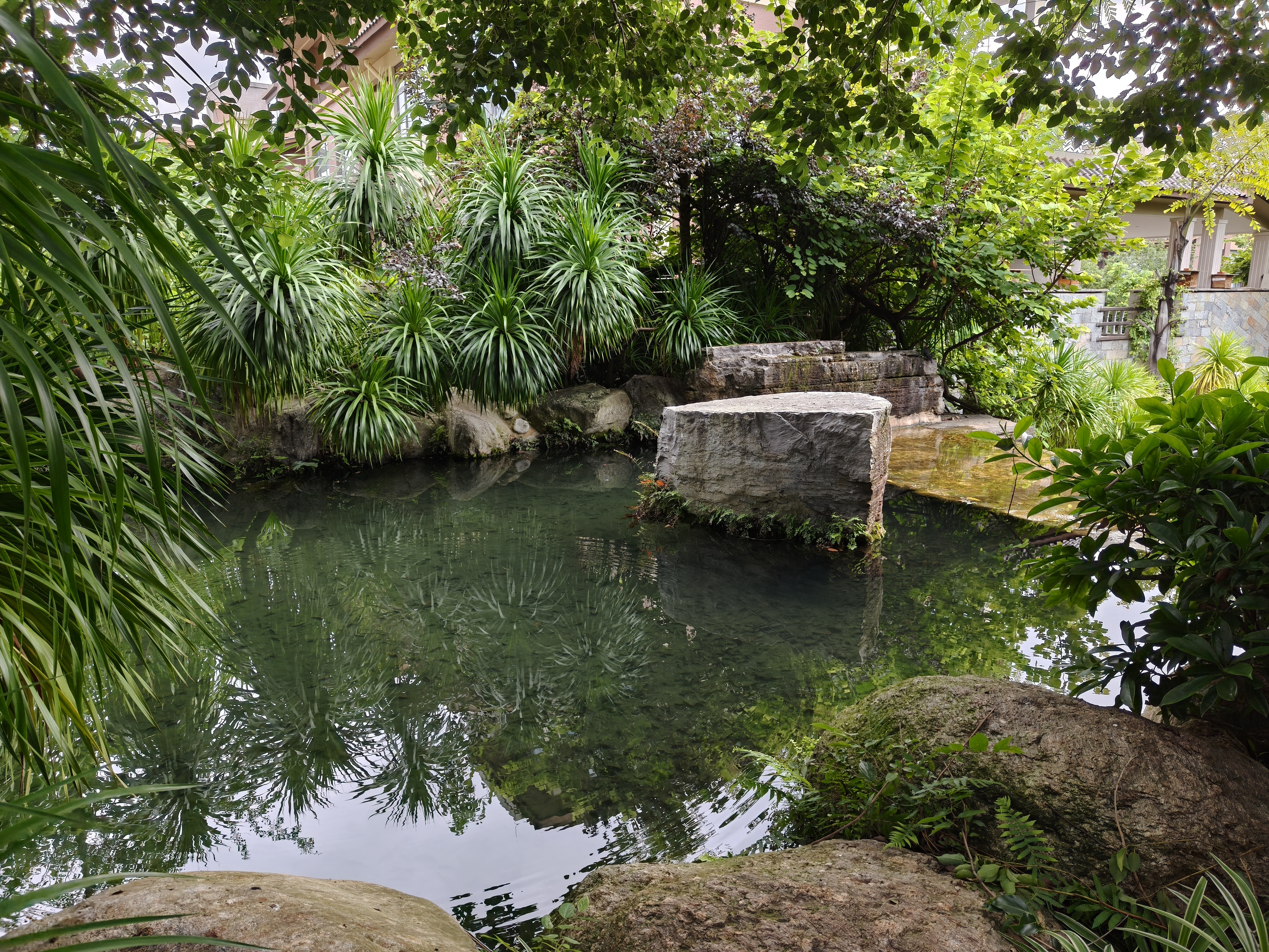 小区生态太好也是有不好的地方，过年回老家，有次在厨房储物间里听见奇怪的声音，本来