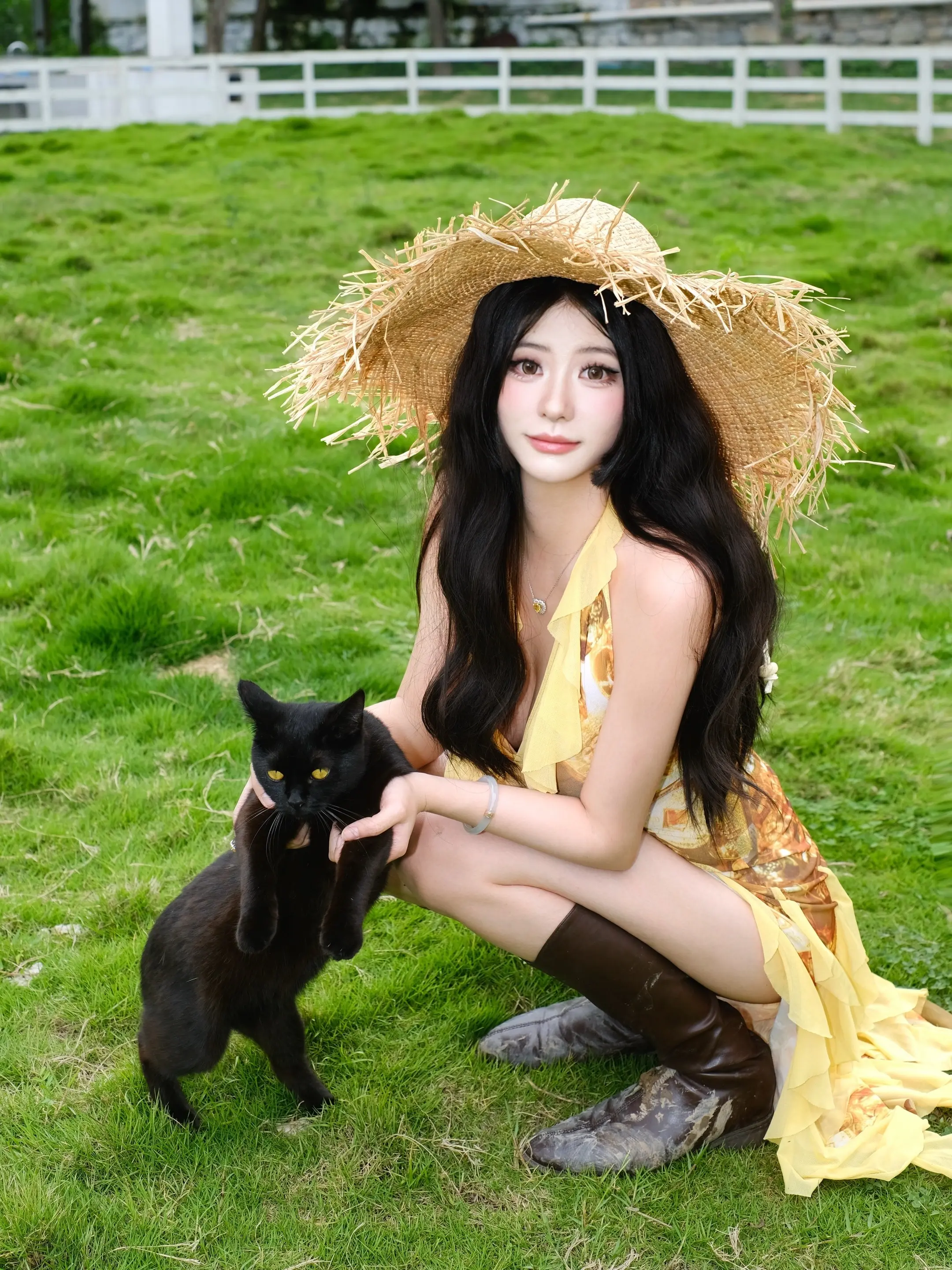 小猫日记🐈