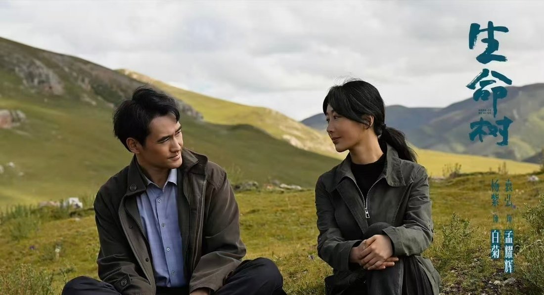 生命树里袁弘和胡歌什么关系相亲这段太好笑，辈分关系越捋越有意思